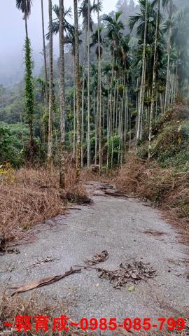 中埔農地-1