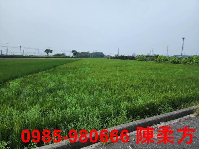 嘉義民雄農地-6