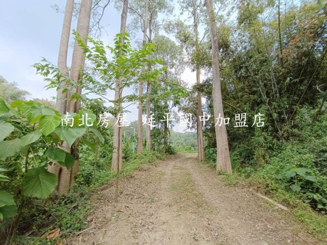 台南龍崎農地-6