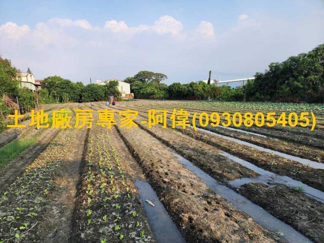 屏東市工業地-1