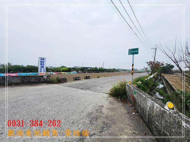 黃培倫591