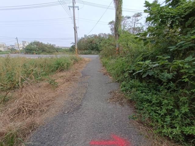 台南學甲農地-10