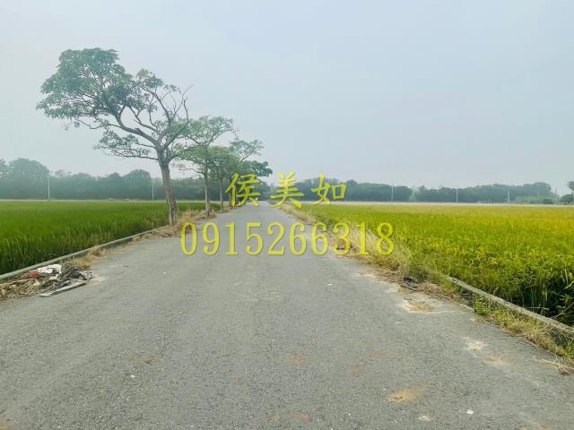 大林農地-1