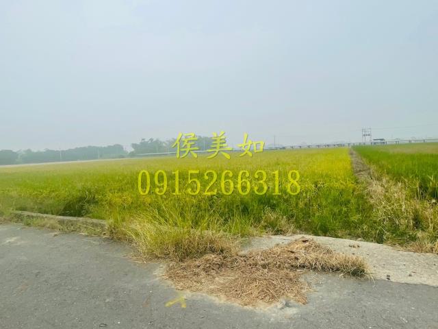 大林農地-2