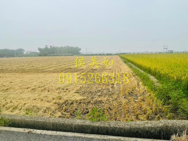 大林農地-3