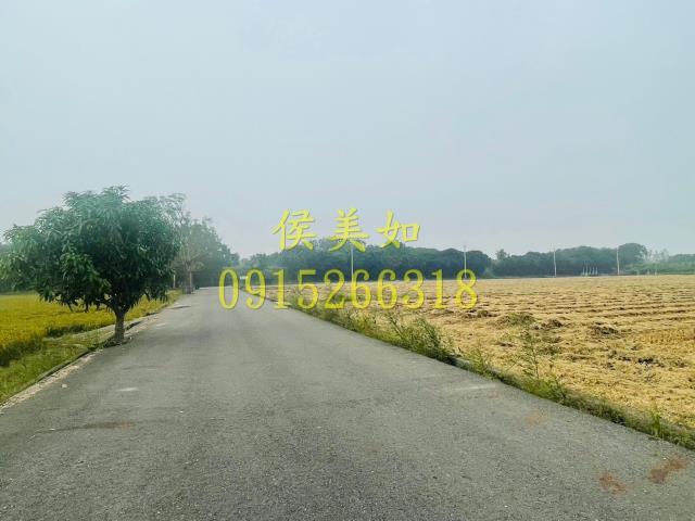 大林農地-4