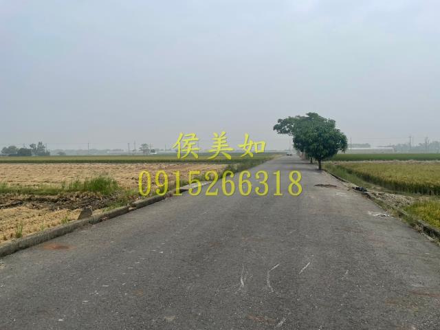 大林農地-6
