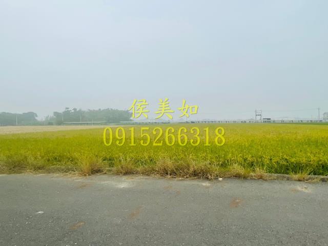 大林農地-9