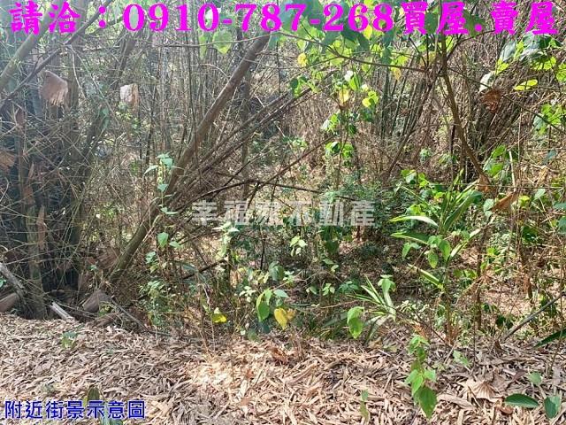 台南農地-11