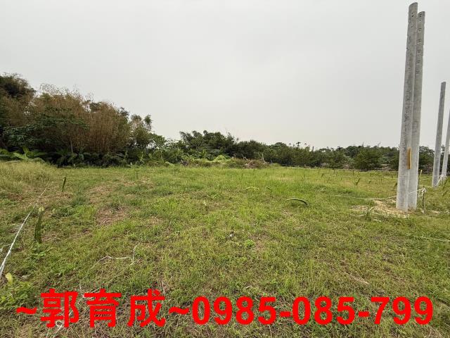 中埔農地-3