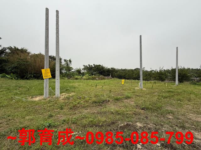 中埔農地-5