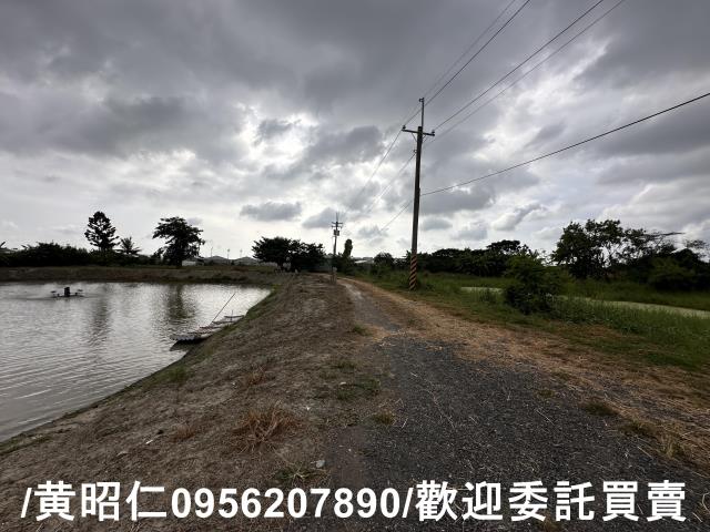 新市農地-4