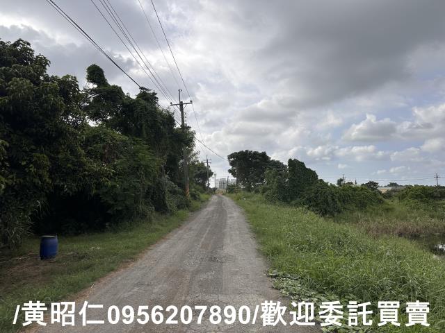 新市農地-6