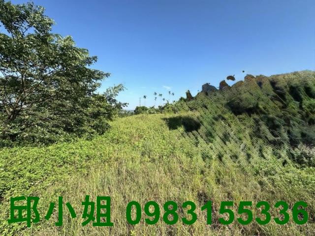 竹崎農地-3