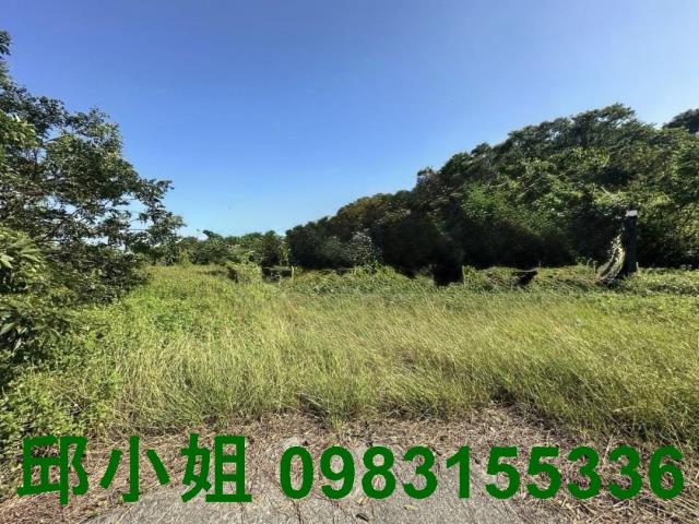 竹崎農地-5