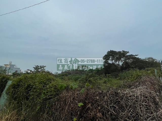 嘉義東區農地-1