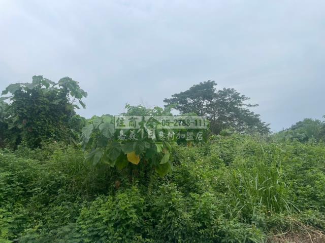 嘉義東區農地-7