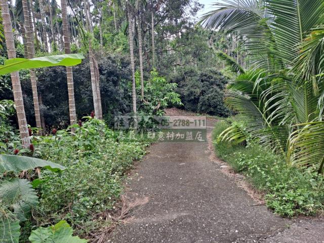 嘉義梅山農地-10