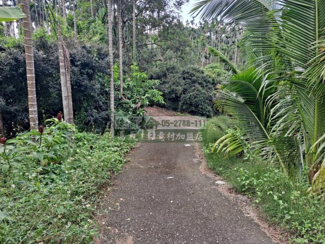 嘉義梅山農地-12