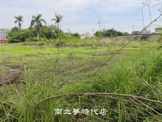 台南新市農地-13