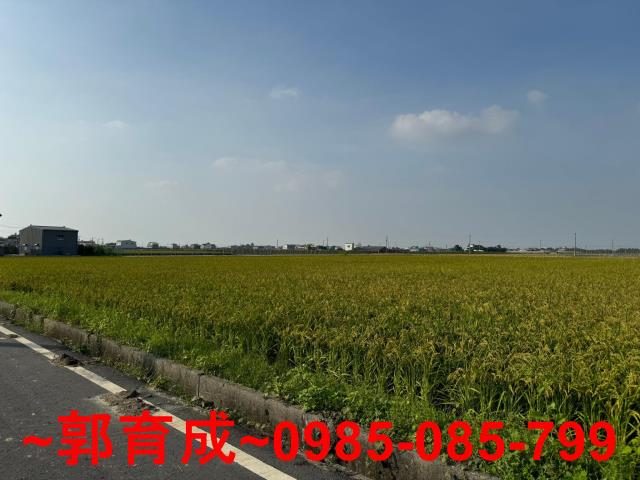 東山農地-2