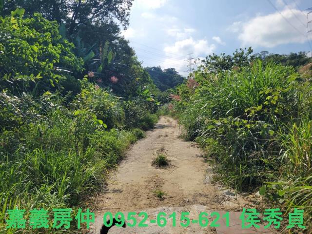 白河農地-9
