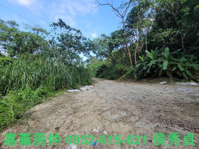 白河農地-10