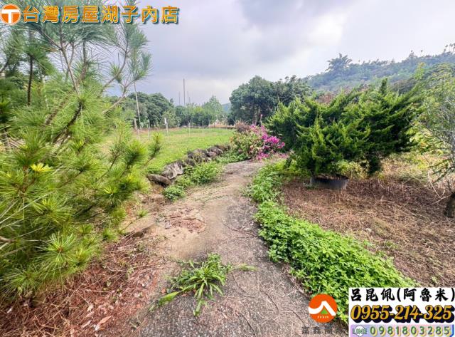 嘉義農地-9