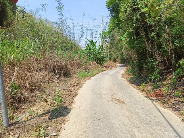 左鎮農地-4