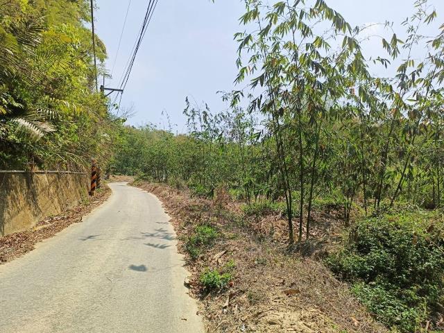 左鎮農地-5