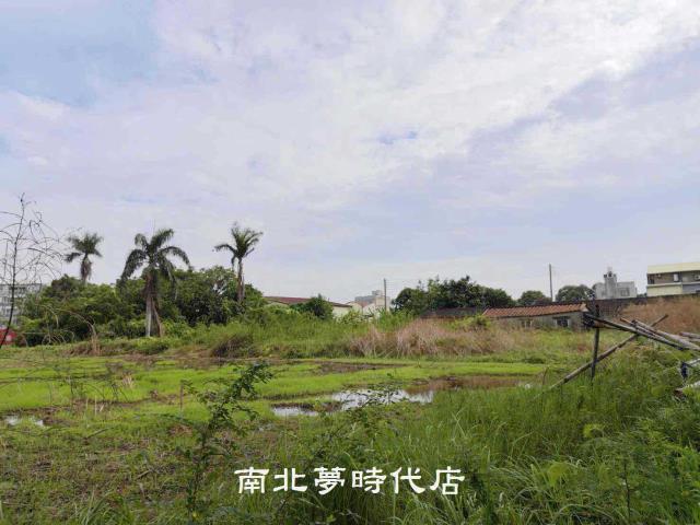 新市農地-9