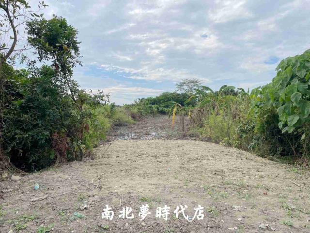 大內農地-5