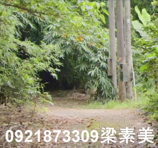 玉井農地-1