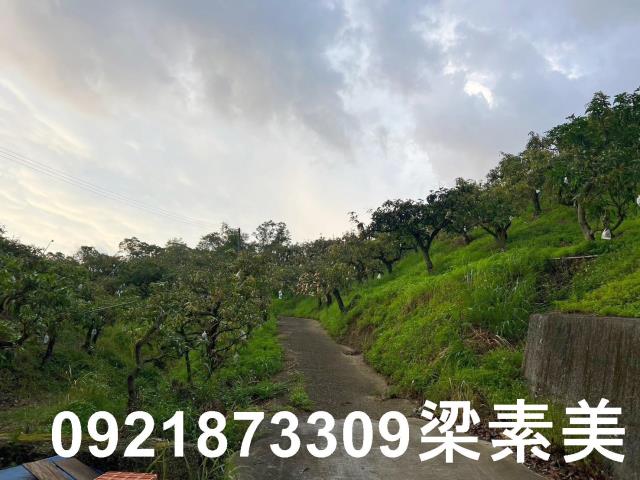 玉井農地-11