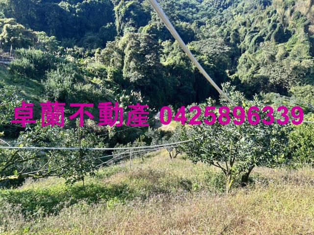 卓蘭農地-1