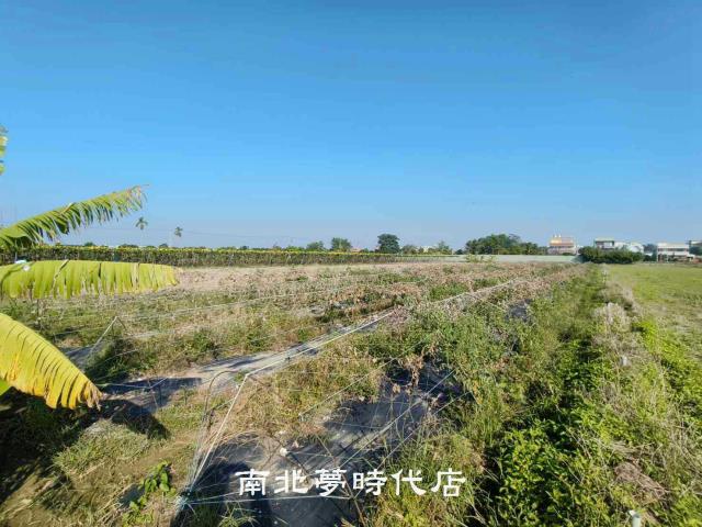 東山農地-2