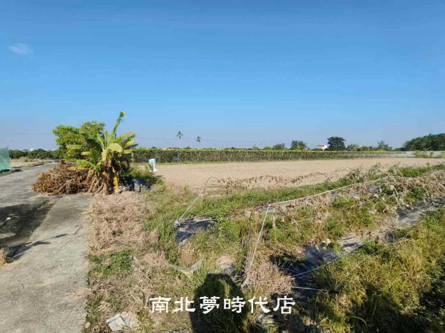 東山農地-3