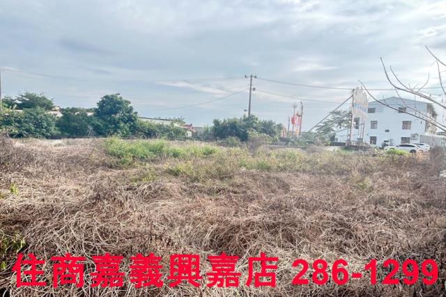 嘉義水上建地-5