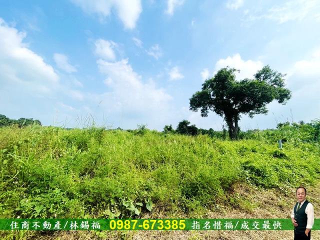 台南歸仁農地-3