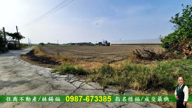 台南佳里農地-10