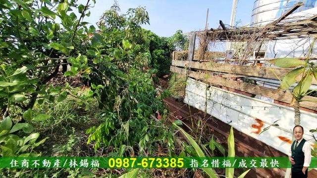 台南佳里農地-11