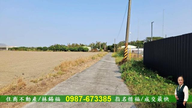 台南佳里農地-12