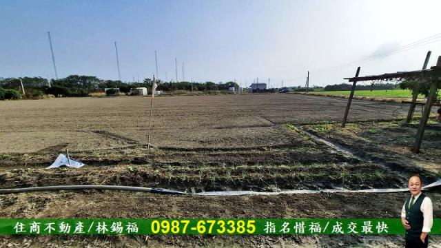 台南佳里農地-4