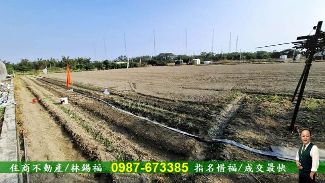 台南佳里農地-6
