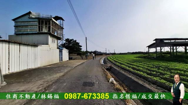 台南佳里農地-7