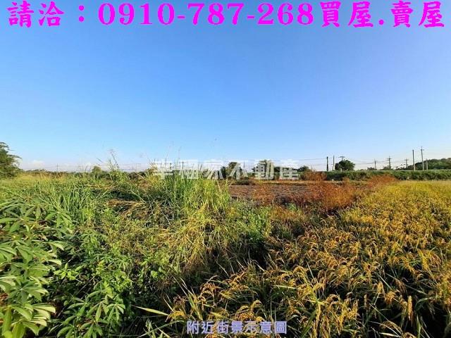 官田農地-4