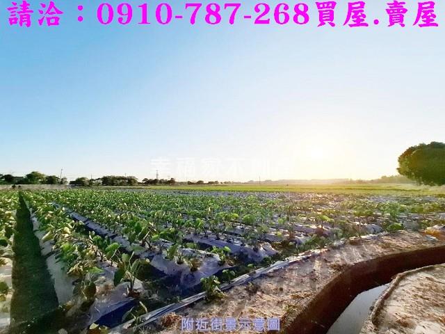 官田農地-6