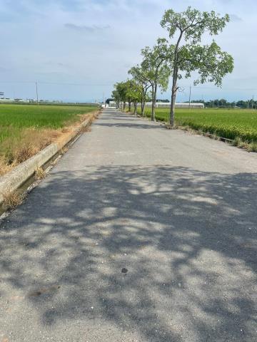 嘉義農地-10