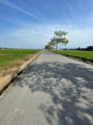 嘉義農地-3