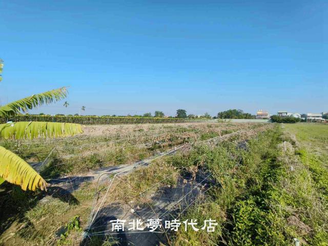 台南農地-2